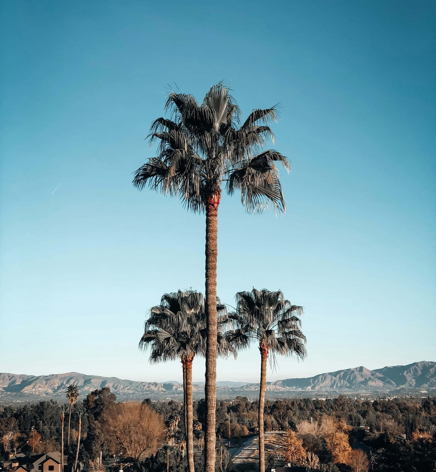The West Los Angeles office of Child Therapy Center